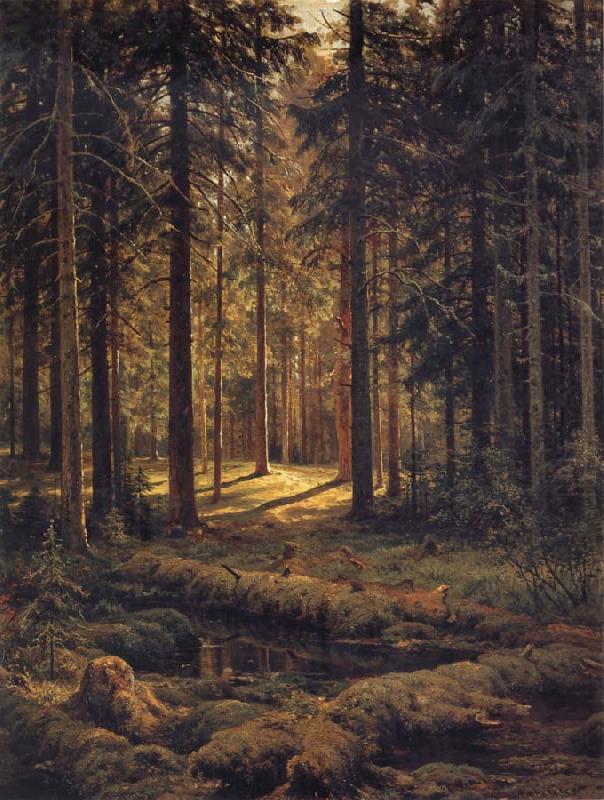 Conifer-Sunshine, Ivan Shishkin